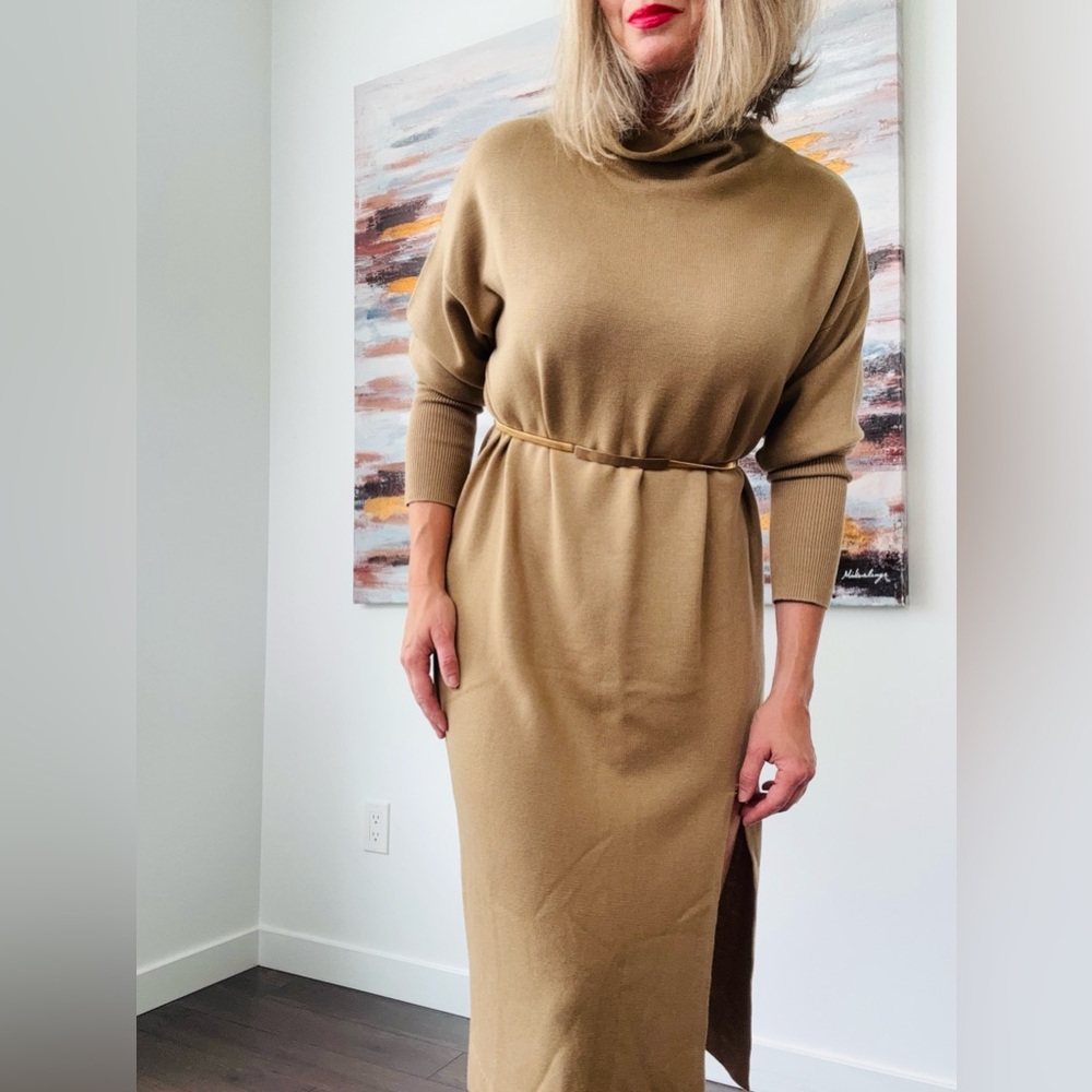ARITZIA Wilfred Cyprie Sweater Dress